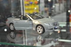 DSC_1100 (553).JPG