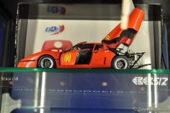 DSC_1100 (271).JPG