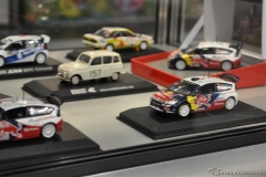 DSC_1100 (462).JPG