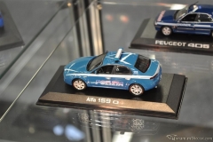 DSC_1100 (487).JPG