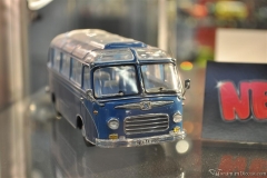 DSC_1100 (137).JPG