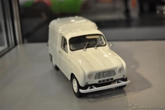 DSC_1100 (550).JPG