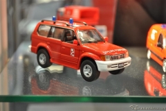 DSC_1100 (40).JPG
