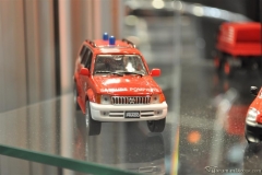 DSC_1100 (39).JPG
