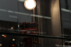DSC_1100 (135).JPG
