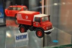 DSC_1100 (55).JPG