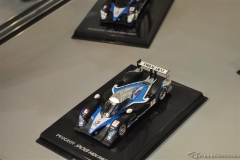 DSC_1100 (446).JPG
