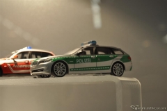 DSC_1100 (12).JPG