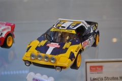 DSC_1100 (209).JPG
