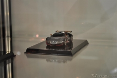 DSC_1100 (437).JPG