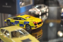 DSC_1100 (364).JPG