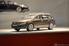 DSC_1100 (21).JPG