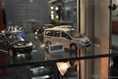DSC_1100 (46).JPG