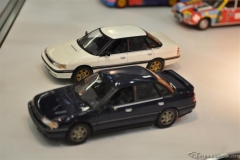 DSC_1100 (371).JPG