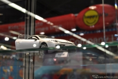 DSC_1100 (531).JPG