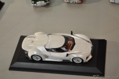 DSC_1100 (448).JPG