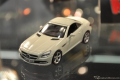 DSC_1100 (103).JPG
