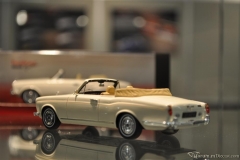 DSC_1100 (631).JPG
