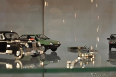 DSC_1100 (401).JPG