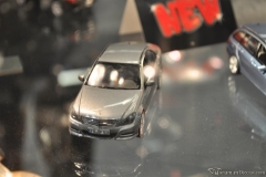 DSC_1100 (110).JPG
