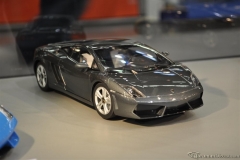 DSC_1100 (565).JPG