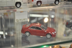 DSC_1100 (781).JPG