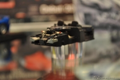 DSC_1100 (772).JPG