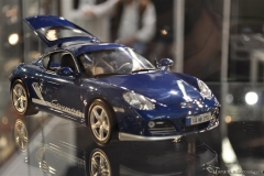 DSC_1100 (590).JPG