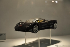 DSC_1100 (799).JPG