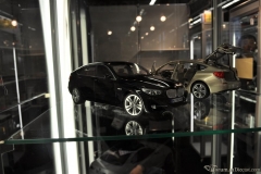 DSC_1100 (925).JPG