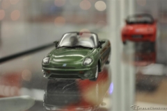 DSC_1100 (673).JPG