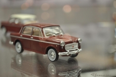 DSC_1100 (698).JPG