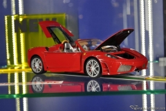 DSC_1100 (870).JPG