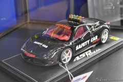 DSC_1100 (860).JPG