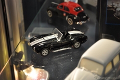 DSC_1100 (88).JPG