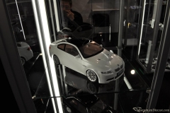 DSC_1100 (927).JPG