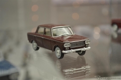DSC_1100 (700).JPG