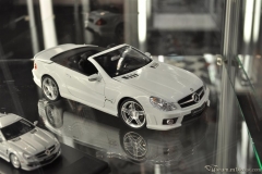 DSC_1100 (929).JPG