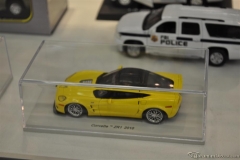 DSC_1100 (773).JPG