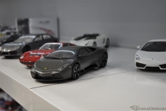 DSC_1100 (828).JPG