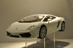 DSC_1100 (796).JPG