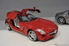 DSC_1100 (824).JPG