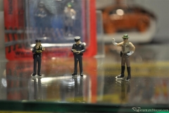 DSC_1100 (783).JPG