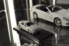 DSC_1100 (930).JPG
