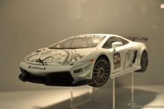 DSC_1100 (793).JPG