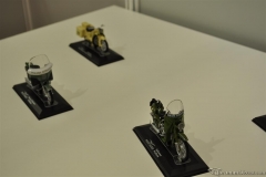 DSC_1100 (713).JPG