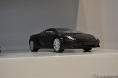 DSC_1100 (816).JPG