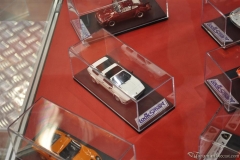 DSC_1100 (721).JPG