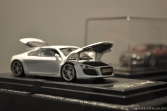 DSC_1100 (910).JPG