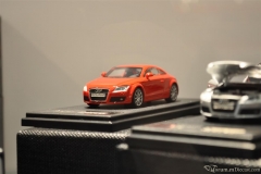DSC_1100 (918).JPG